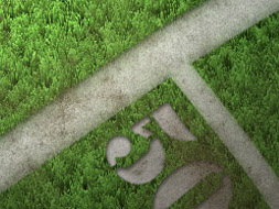 grass-texture
