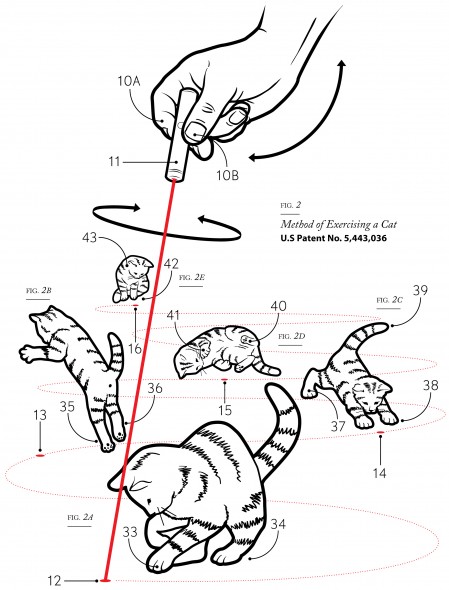 Josh McKible - Method of Exercising a Cat